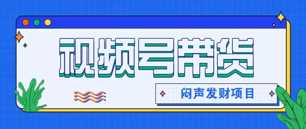 微信视频号带货项目,轻松日赚赚2000+,这个挣钱入口很多伙伴都在闷声发财 - 项目资源网