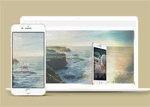 图片视差APP应用网站模板下载 - 项目资源网