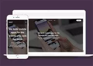 手机apps应用开发制作网页模板 - 项目资源网