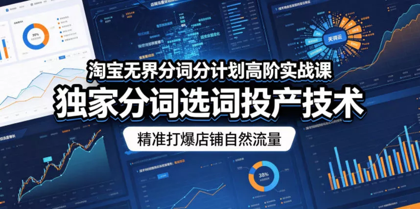 淘宝无界分词分计划高阶实战课，独家分词选词投产技术，精准打爆店铺自然流量 - 项目资源网
