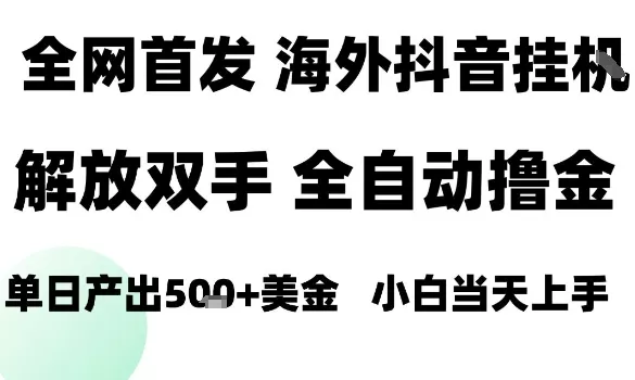 海外抖音无人直播,单日产出1.5k+,长期稳定,新手可玩,无脑操作【揭秘】