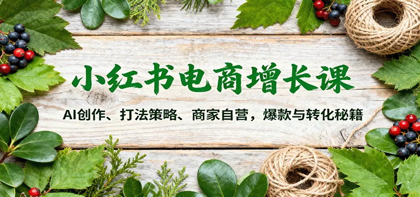 小红书电商增长课：AI创作、打法策略、商家自营，爆款与转化秘籍 - 项目资源网