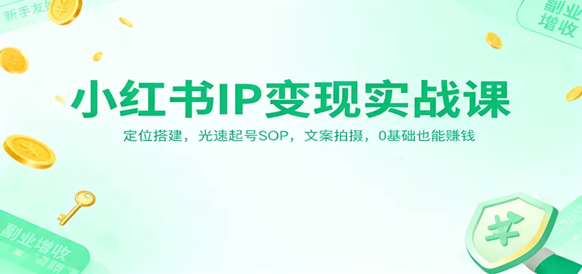 小红书IP变现实战课：定位搭建，光速起号SOP，文案拍摄，0基础也能赚钱 - 项目资源网