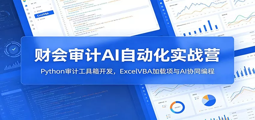 财会审计AI自动化实战营：Python审计工具箱开发，ExcelVBA加载项与AI协同编程 - 项目资源网